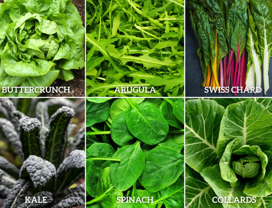 Leafy Greens Seed Collection – 6 - Pack