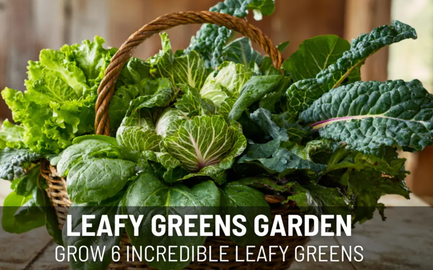 Leafy Greens Seed Collection – 6 - Pack