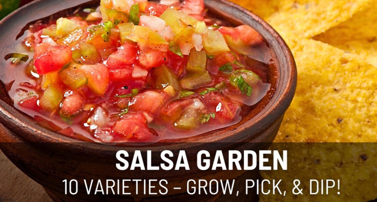 Salsa Seeds Collection – 10 - Pack