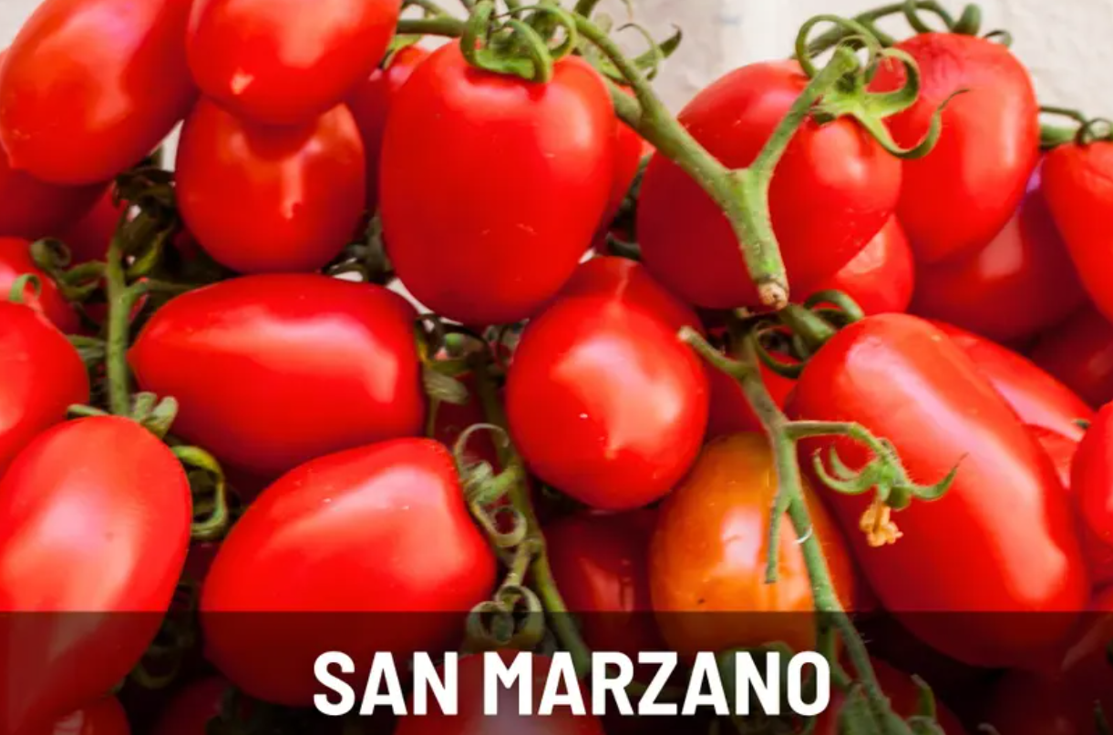 Tomato Garden Seed Collection – 6 - Pack
