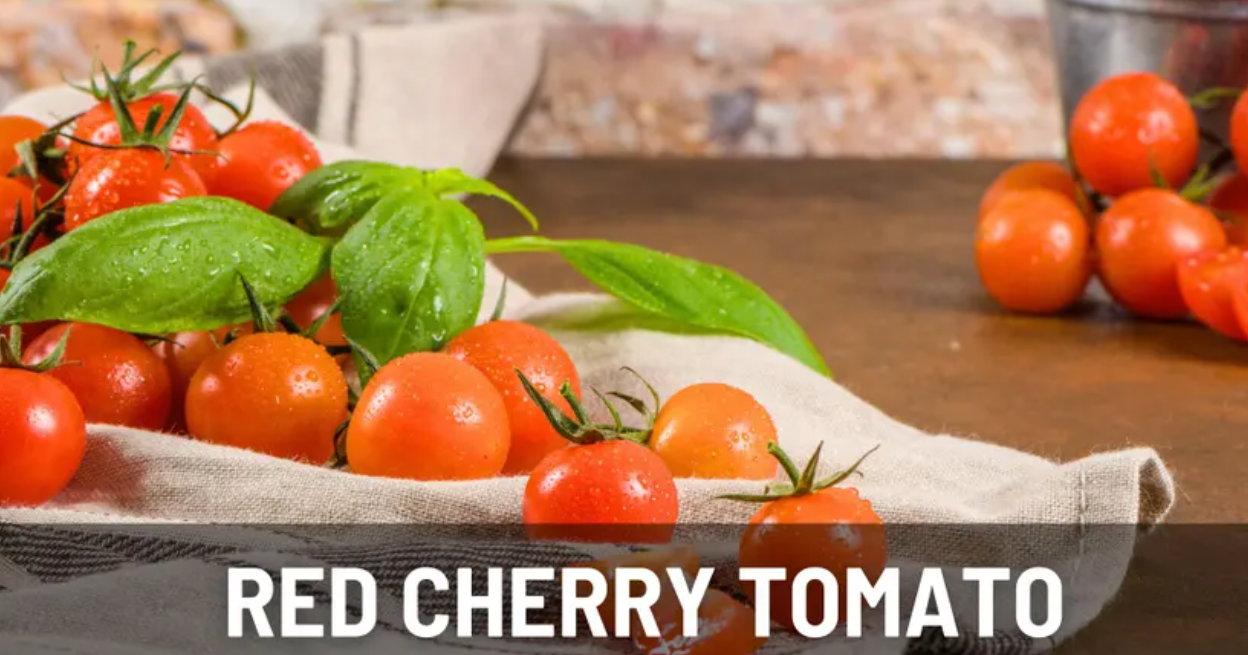 Tomato Garden Seed Collection – 6 - Pack