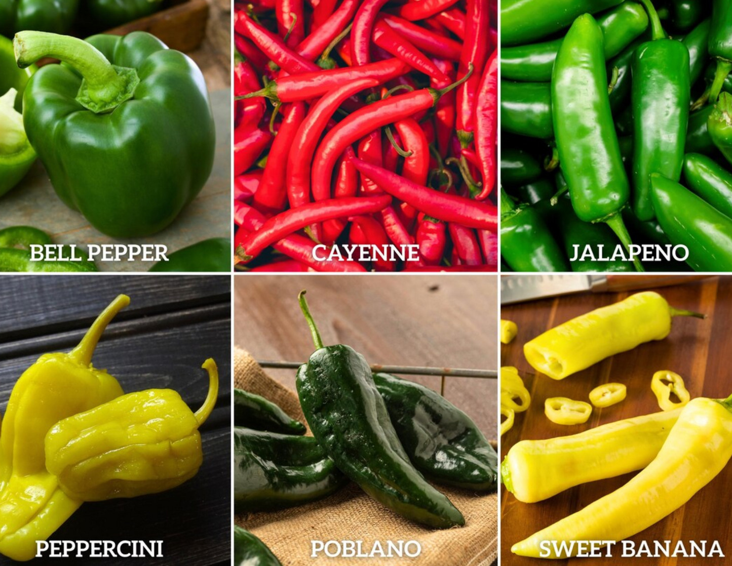 Pepper Seeds Collection – 6 - Pack