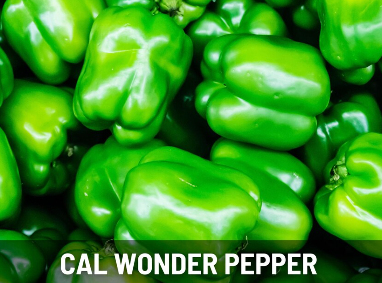 Pepper Seeds Collection – 6 - Pack