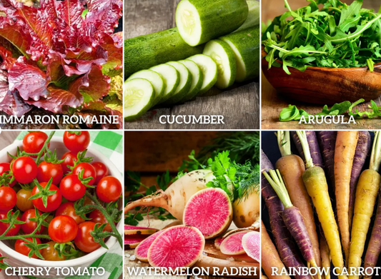 Salad Seeds Collection – 6 - Pack