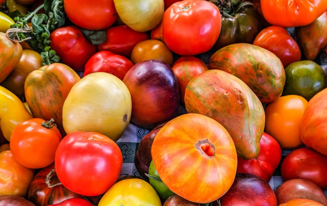 Heirloom Tomato Seeds Collection – 10 - Pack