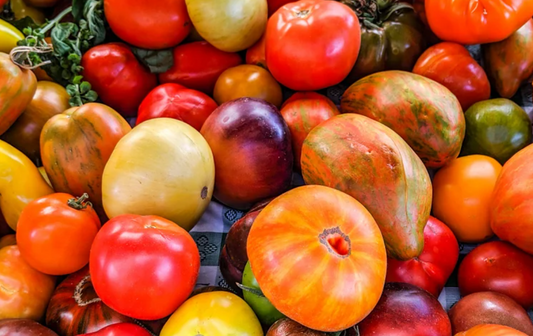 Heirloom Tomato Seeds Collection – 10 - Pack