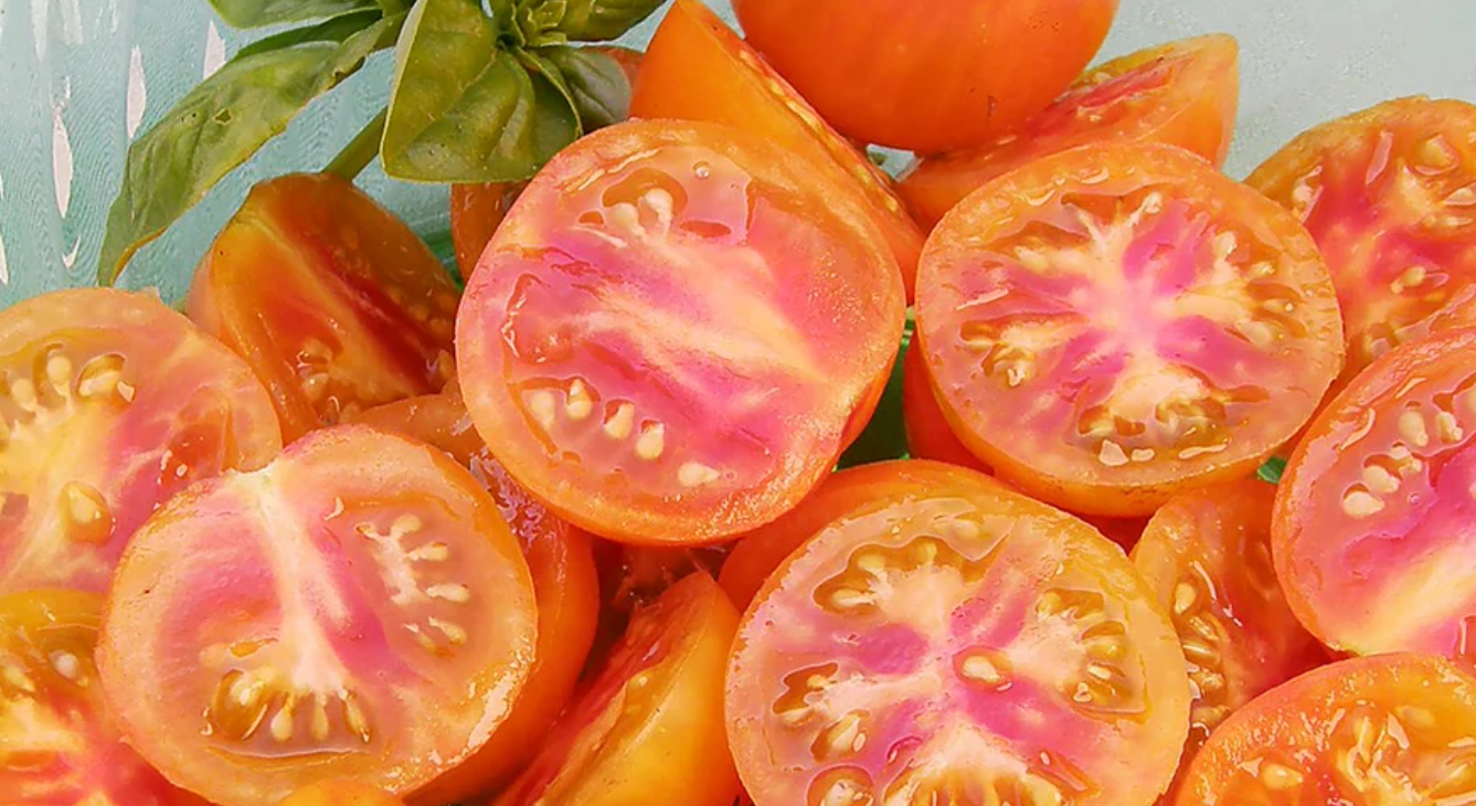 Heirloom Tomato Seeds Collection – 10 - Pack