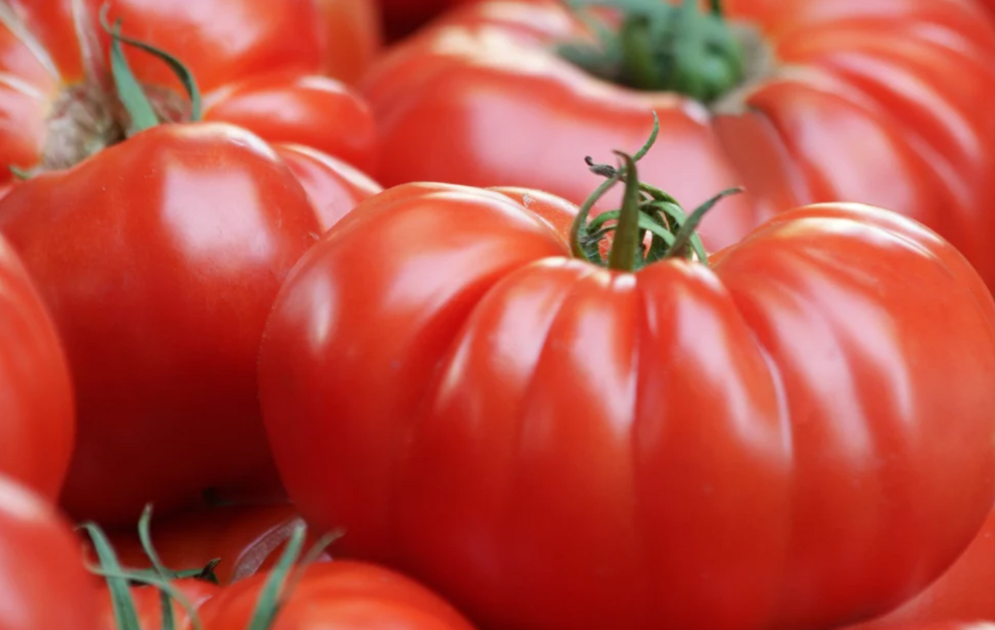 Heirloom Tomato Seeds Collection – 10 - Pack