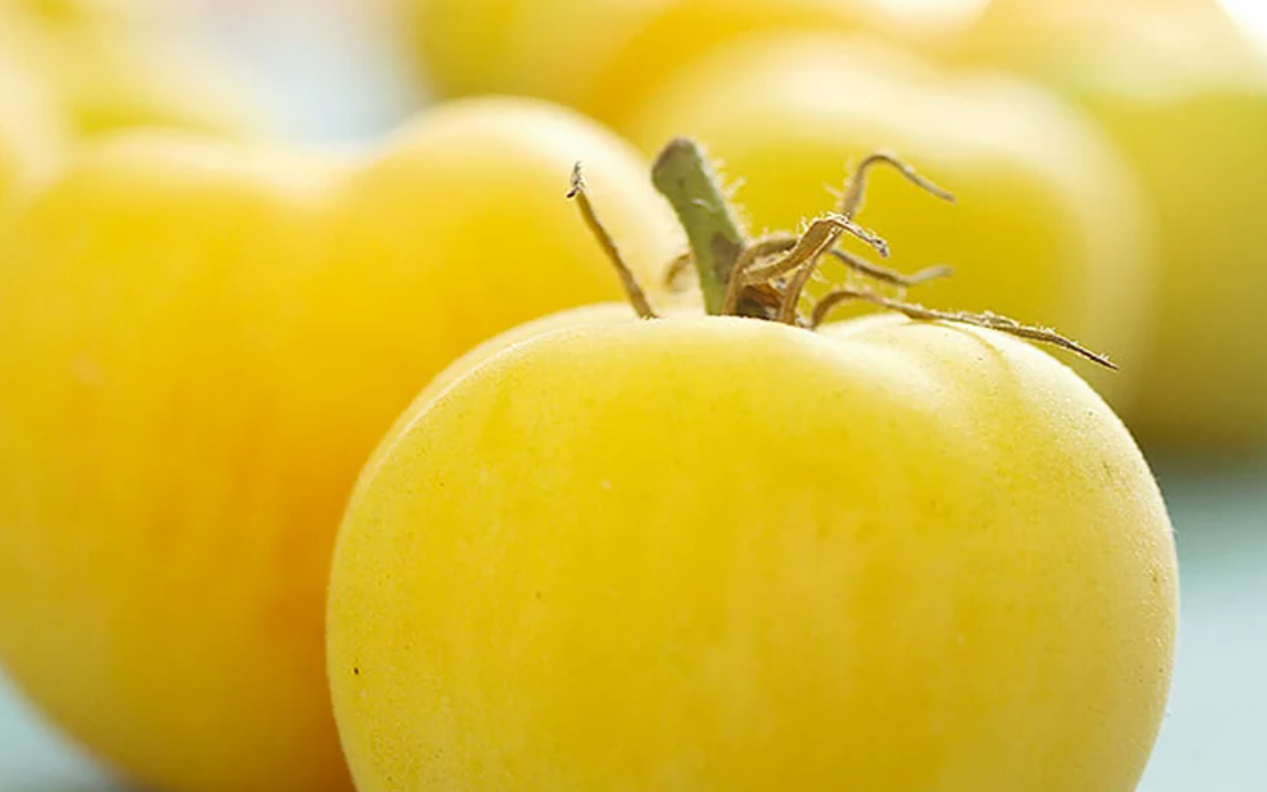 Heirloom Tomato Seeds Collection – 10 - Pack