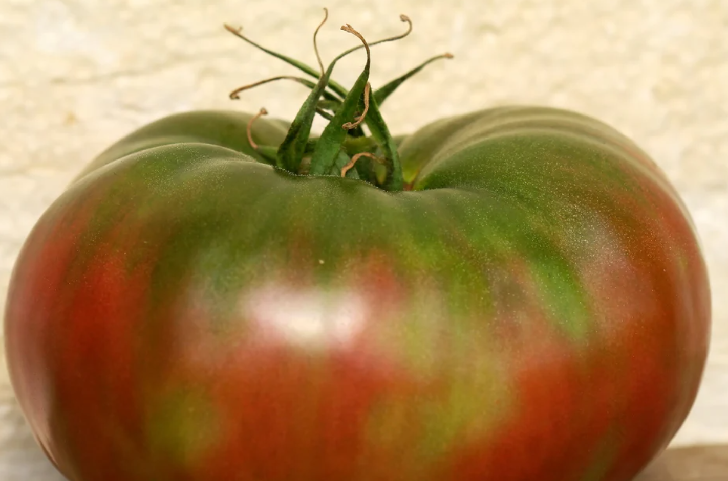 Heirloom Tomato Seeds Collection – 10 - Pack