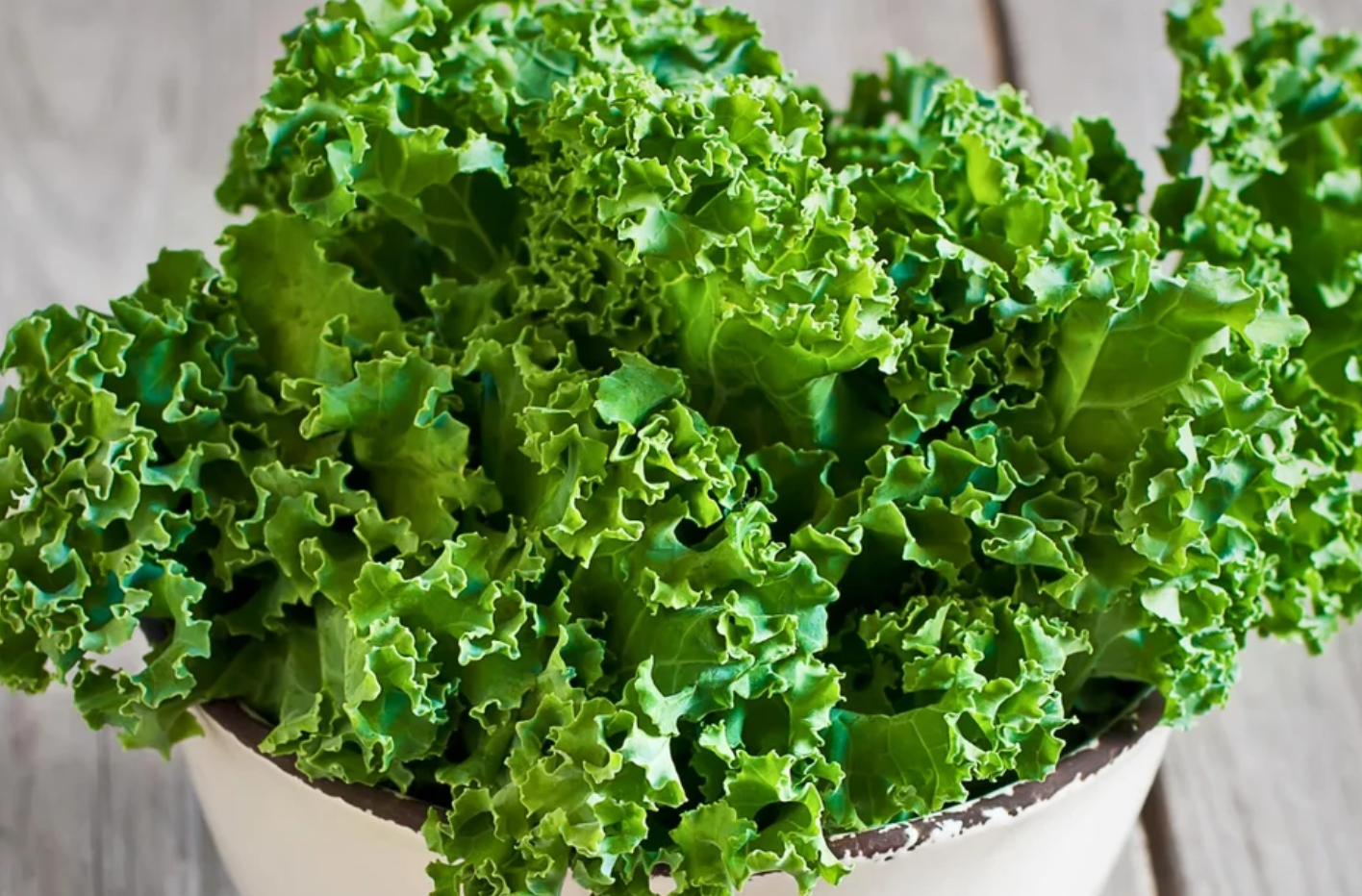 Salad Greens Seeds Collection - 10 - Pack