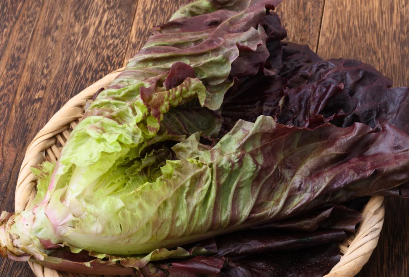 Salad Greens Seeds Collection - 10 - Pack