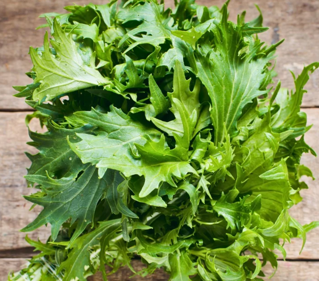 Salad Greens Seeds Collection - 10 - Pack