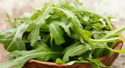 Salad Greens Seeds Collection - 10 - Pack