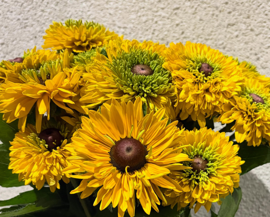 Rudbeckia 'Maya’ 100 Seeds